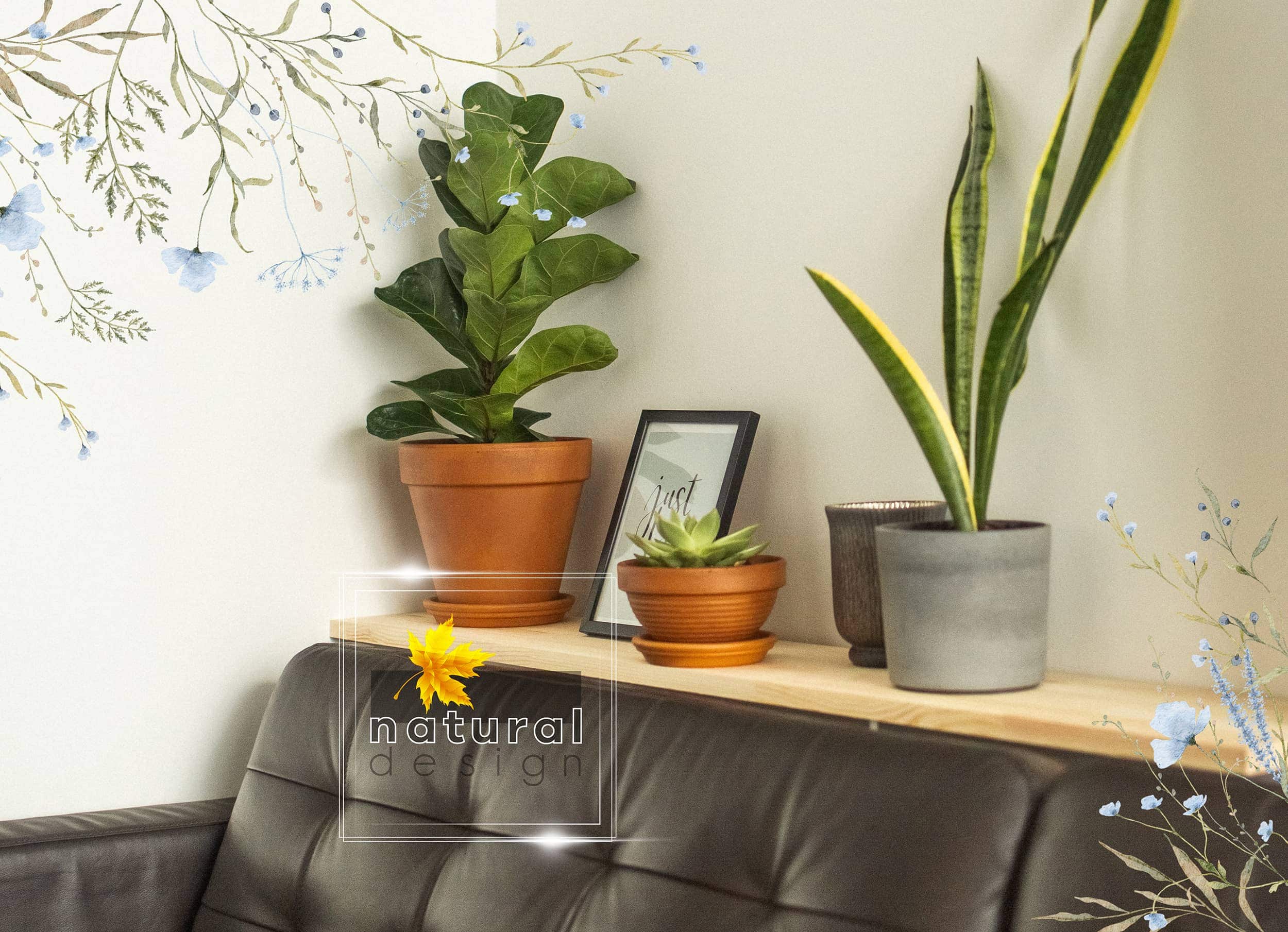 ficus-lyrata-apartament