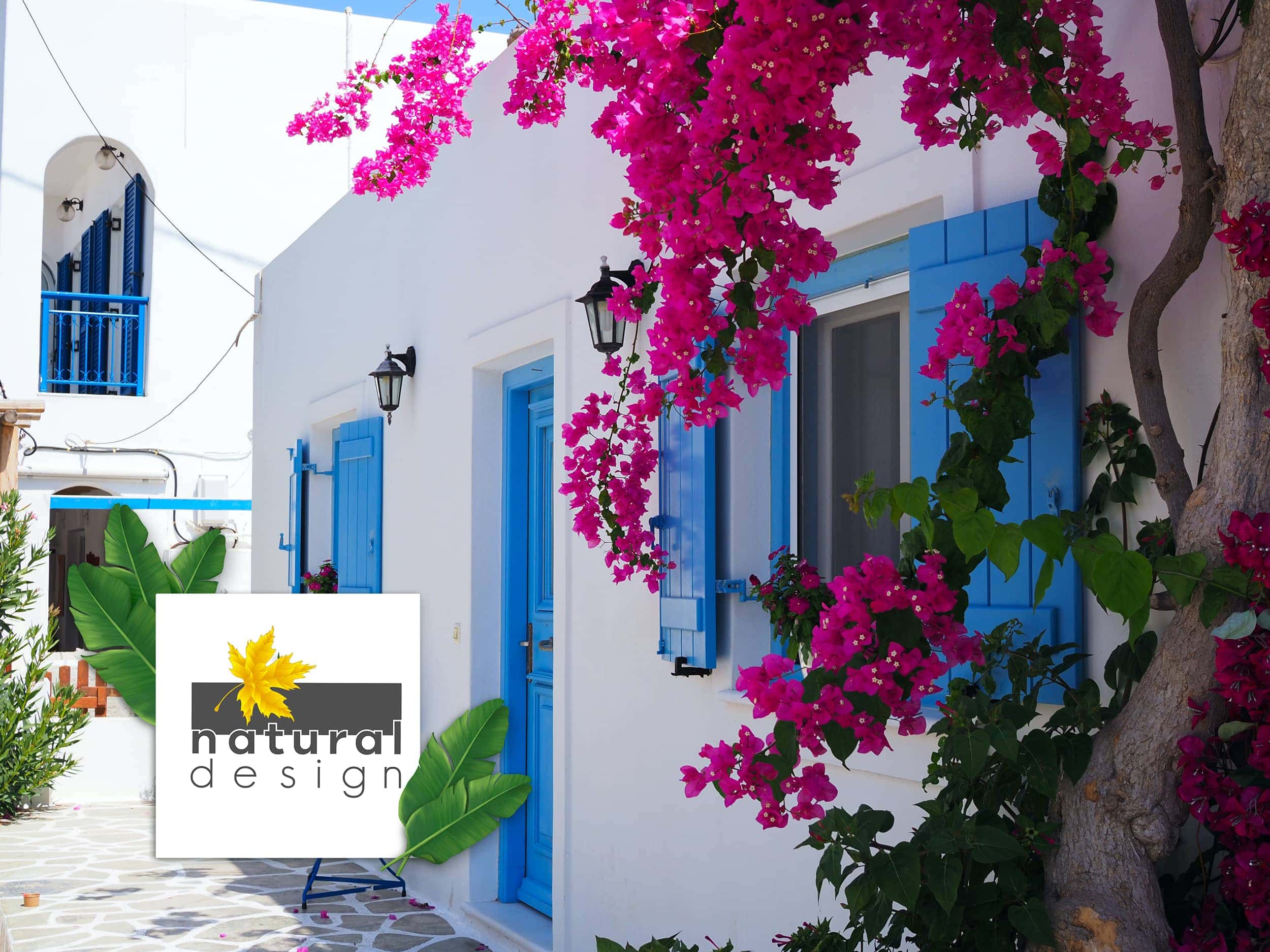 flori-de-hartie-grecia
