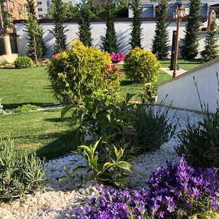 Gradina Neo